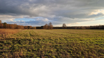 Działka Sprzedaż Jaźwiny