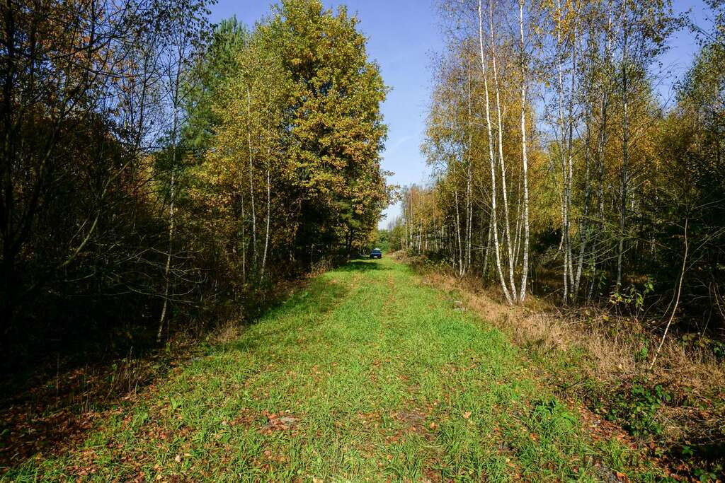 Działka Sprzedaż Puszcza Mariańska Akacjowa