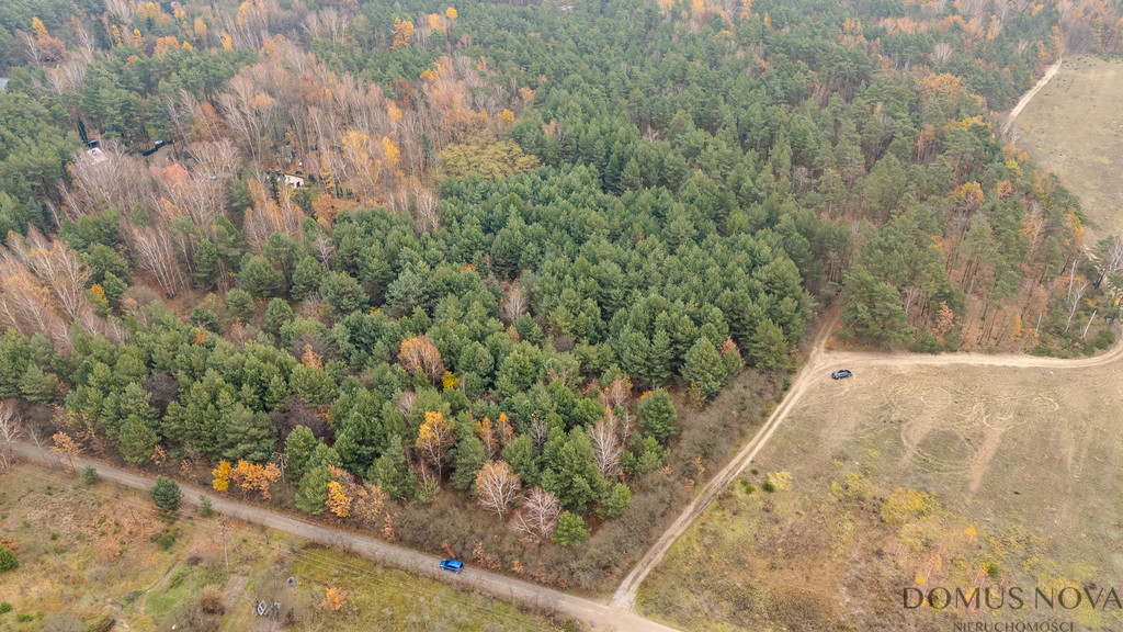 Plot Sale Siestrzeń Nad Lasem 7