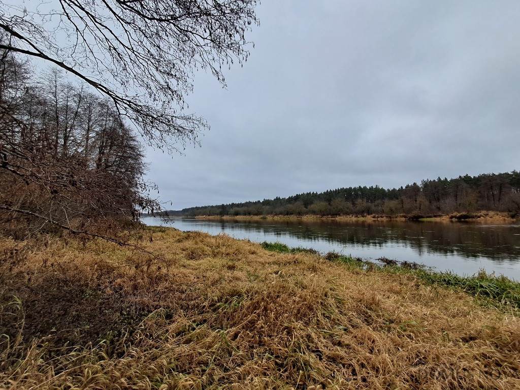 Plot Sale Paulinowo Królowej Bony