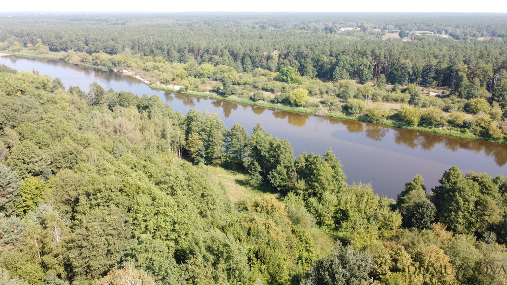 Plot Sale Paulinowo Królowej Bony