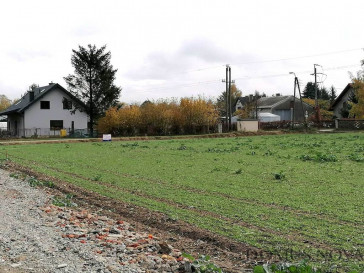 Działka Sprzedaż Sokołów Podlaski Błękitna