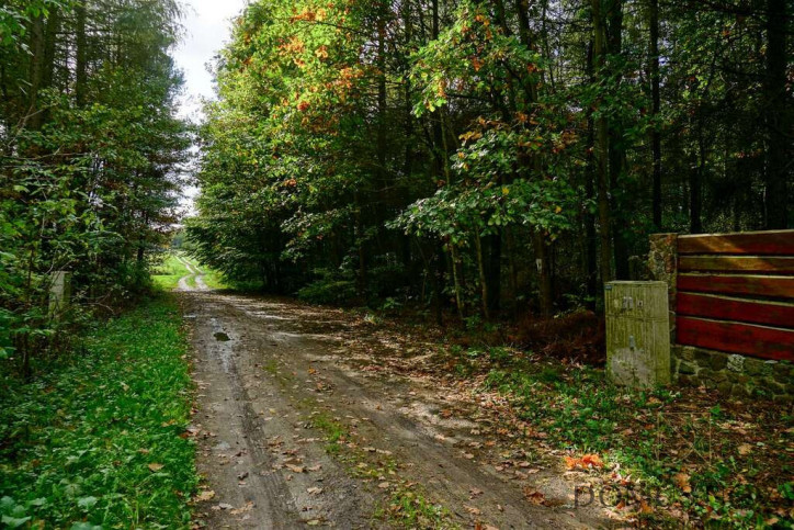 Działka Sprzedaż Waleriany 1