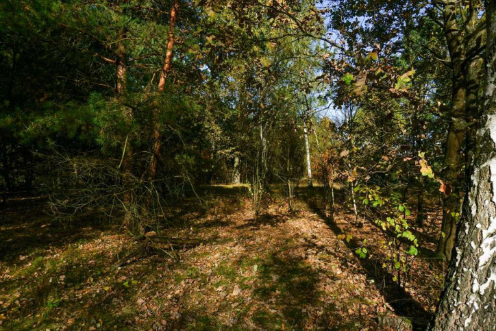 Działka Sprzedaż Puszcza Mariańska Akacjowa 3