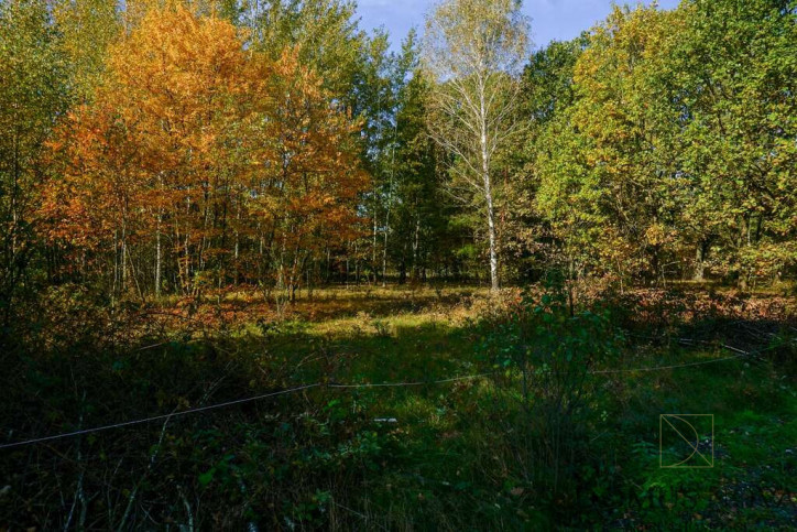 Działka Sprzedaż Puszcza Mariańska Akacjowa 1