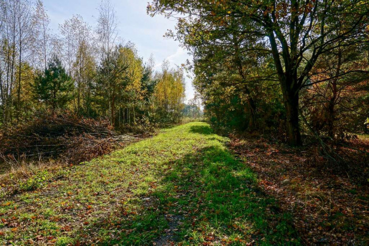 Działka Sprzedaż Puszcza Mariańska Akacjowa 3