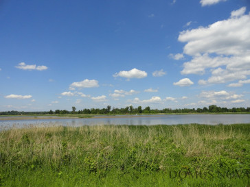 Działka Sprzedaż Arciechów