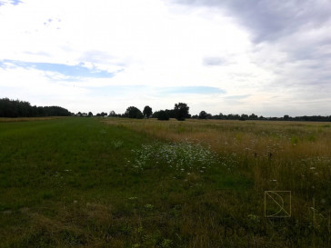 Plot Sale Ojrzanów-Towarzystwo