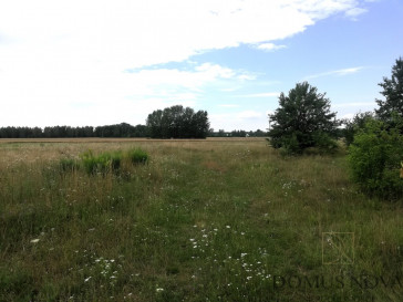 Plot Sale Ojrzanów-Towarzystwo