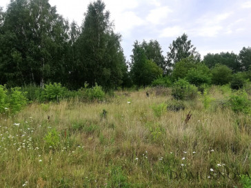 Plot Sale Ojrzanów-Towarzystwo