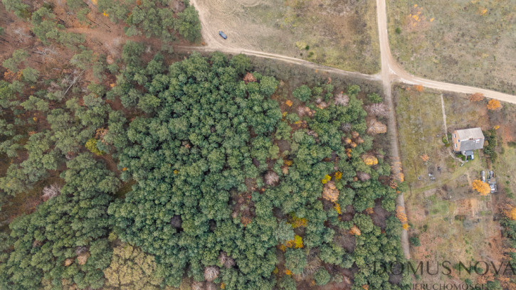 Działka Sprzedaż Siestrzeń Nad Lasem 3