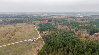 Plot Sale Siestrzeń Nad Lasem