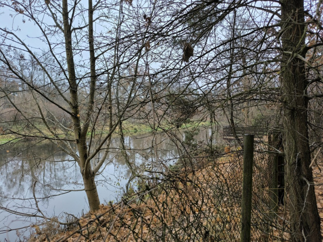 Działka Sprzedaż Borkowo Rzeczna 1