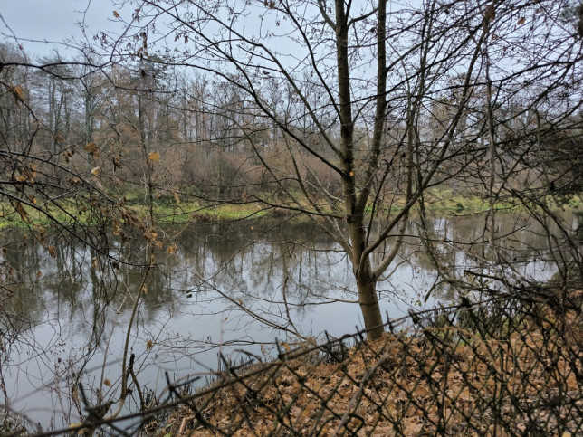 Działka Sprzedaż Borkowo Rzeczna 2