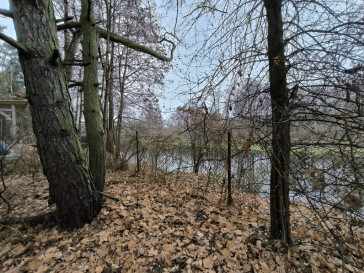 Działka Sprzedaż Borkowo Rzeczna