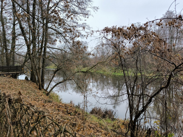 Działka Sprzedaż Borkowo Rzeczna 7