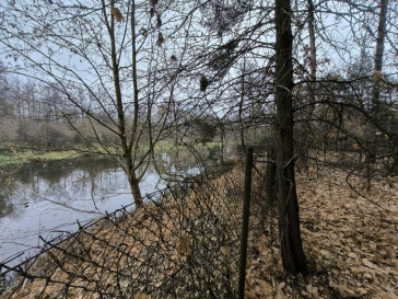 Działka Sprzedaż Borkowo Rzeczna