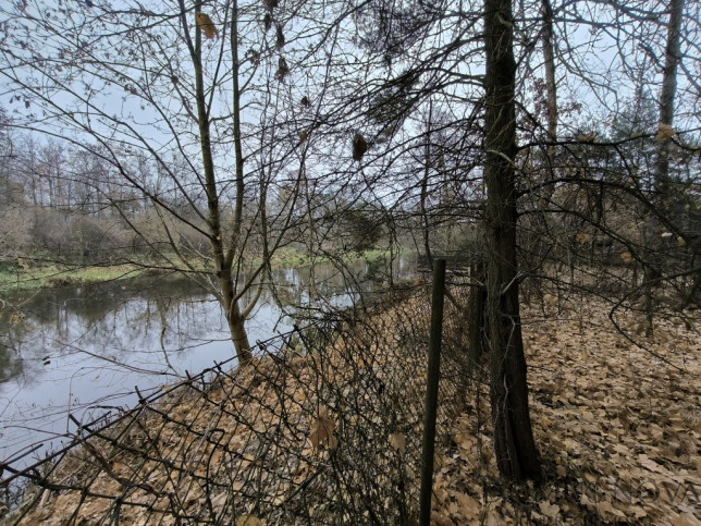 Działka Sprzedaż Borkowo Rzeczna 10