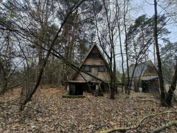 Działka Sprzedaż Borkowo Rzeczna