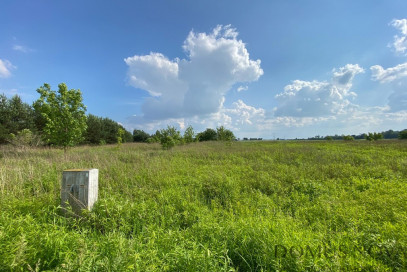 Działka Sprzedaż Wąsy-Kolonia