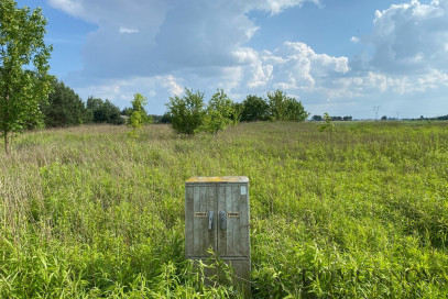 Działka Sprzedaż Wąsy-Kolonia