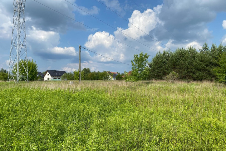 Działka Sprzedaż Wąsy-Kolonia 9