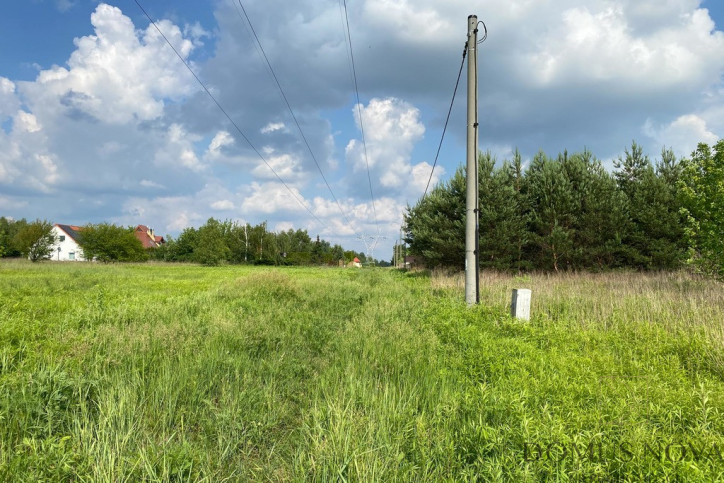 Działka Sprzedaż Wąsy-Kolonia 11