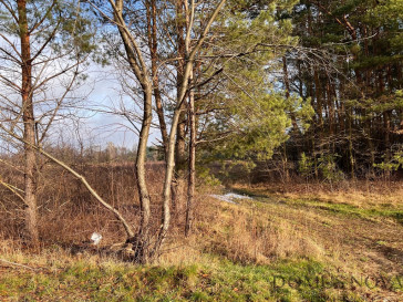 Działka Sprzedaż Żanęcin Trakt Lubelski