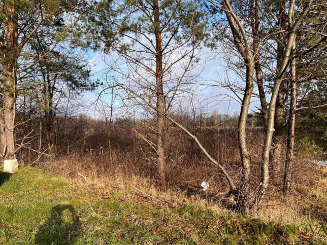 Działka Sprzedaż Żanęcin Trakt Lubelski 4