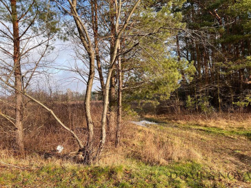 Działka Sprzedaż Żanęcin Trakt Lubelski