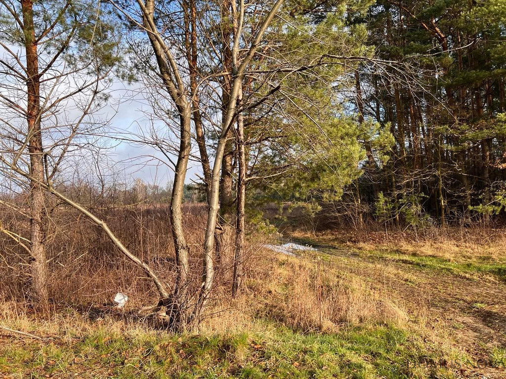 Działka Sprzedaż Żanęcin Trakt Lubelski